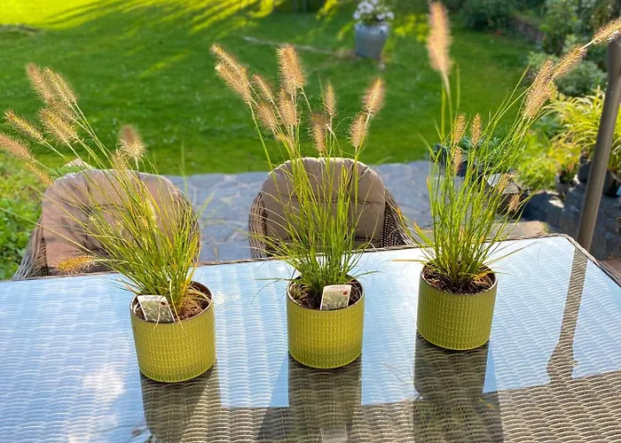 La Demeure Marcquoise